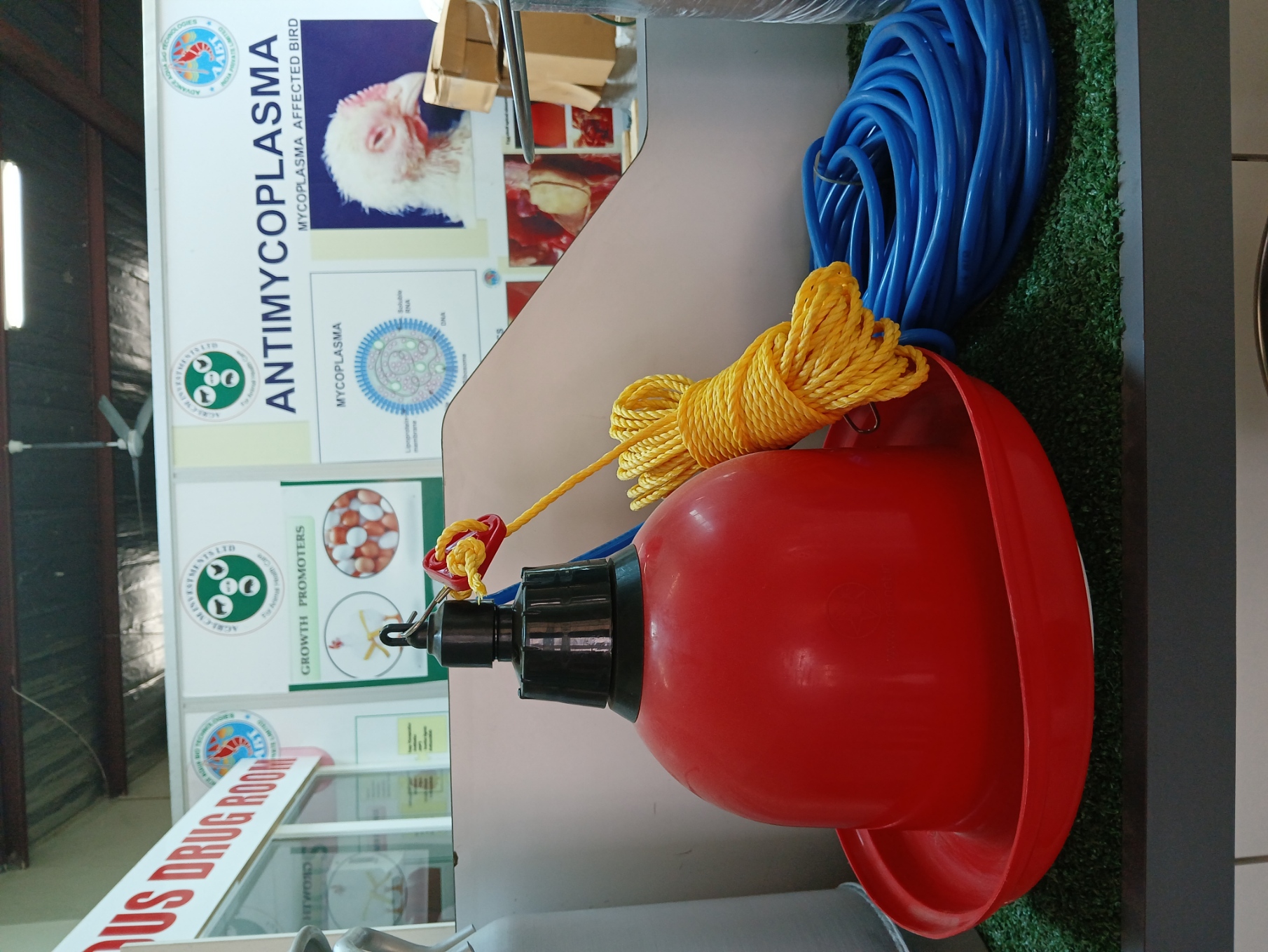 product img